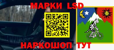 шишки Будённовск