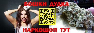 шишки Будённовск